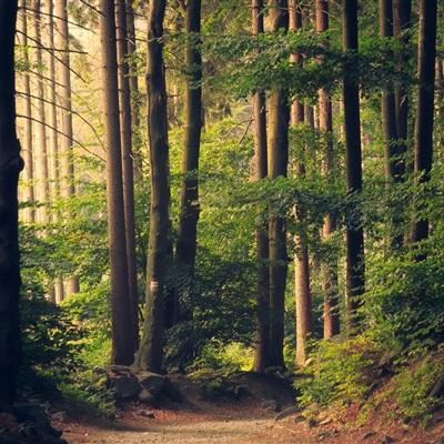 乐发彩票APP下载app下载